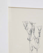 Tableau Lirena illustration botanique 50 x 70 cm - view 5