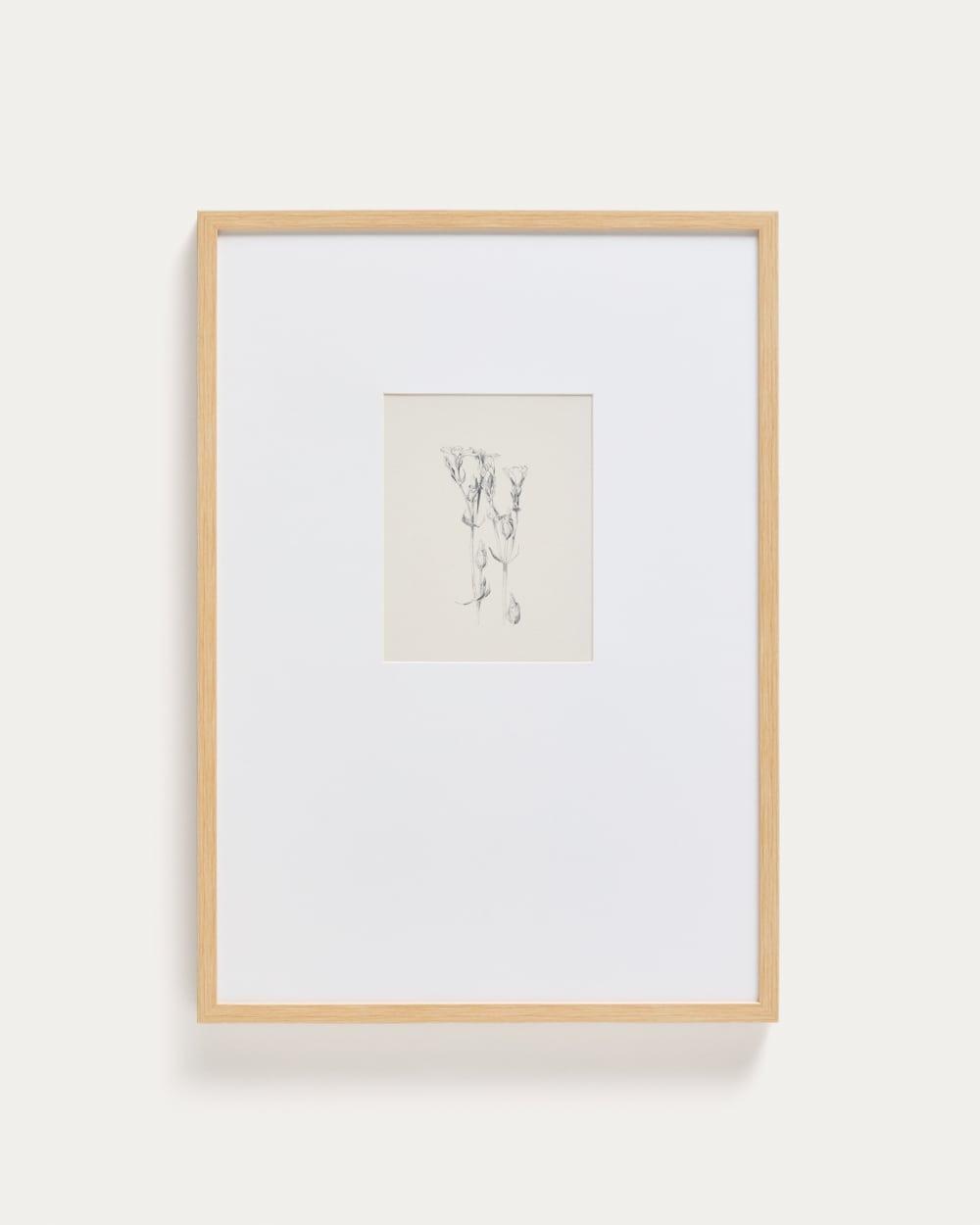 Tableau Lirena illustration botanique 50 x 70 cm