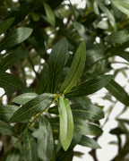 Arbre artificiel Olivo avec cache-pot blanc 250 cm - view 4